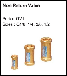 Non return Valve