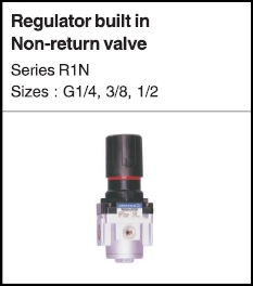 Regulator buiilt in non return valve